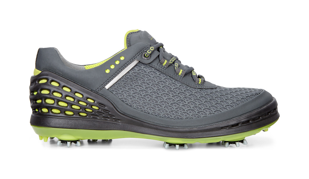 ecco evo cage golf shoes