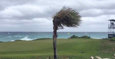 Web.com carnage in the Bahamas
