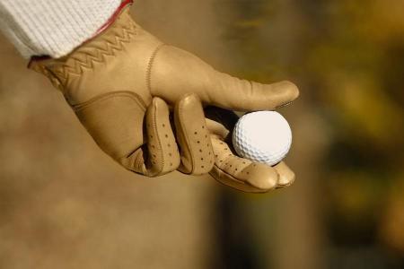 Massachusetts golfer bites off man's finger in brawl on course