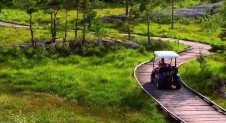 A Halford’s boss gets jail for DUI in golf buggy